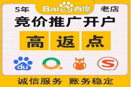 某电商平台的SEM竞价专员成功案例分享